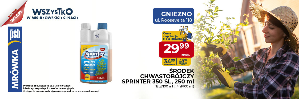 zdjęcie na stronie głównej